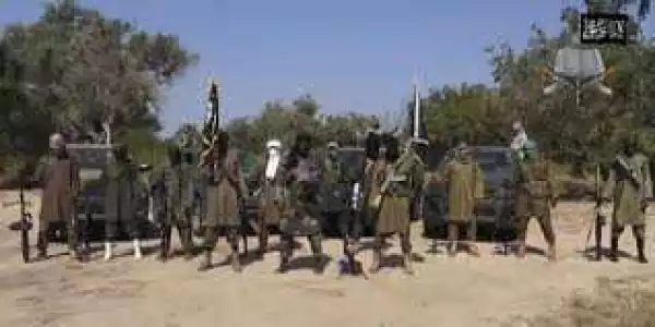15 Hunters Beheaded By Boko Haram In Borno